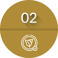 6大堅持 遇拾⽊ Takewood